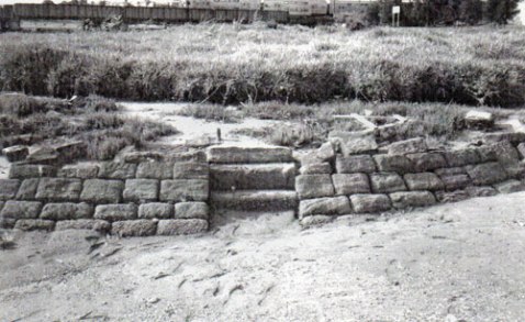 Fatima Island in 1984. reclaimed convict stone retaining bank present. Photo by Chrys Meader. Source Marrickville Heritage Society & Cooks River Valley Association.